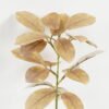 Artificial Plant 17*17*40cm Leaves single stem GS-15422046 Leaves&Sprays&Foliages YeahFlower is one of Chinese leading OEM manufacturers and exporters , supplying the silk flowers, wholesale artificial trees