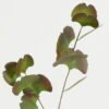 Artificial Plant 12*12*62cm Real touch ginkgo *2 single stem GS-15422052-G1 Leaves&Sprays&Foliages YeahFlower is one of Chinese leading OEM manufacturers and exporters , supplying the silk flowers, wholesale artificial trees