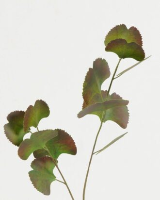 Artificial Plant 12*12*62cm Real touch ginkgo *2 single stem GS-15422052-G1 Leaves&Sprays&Foliages YeahFlower is one of Chinese leading OEM manufacturers and exporters , supplying the silk flowers, wholesale artificial trees