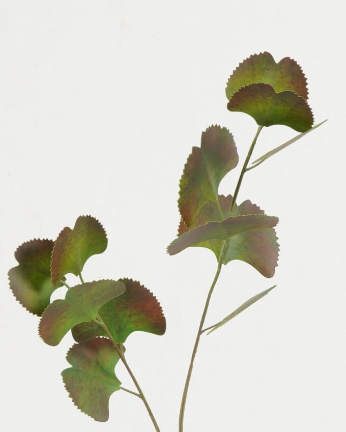 Artificial Plant 12*12*62cm Real touch ginkgo *2 single stem GS-15422052-G1 Leaves&Sprays&Foliages YeahFlower is one of Chinese leading OEM manufacturers and exporters , supplying the silk flowers, wholesale artificial trees