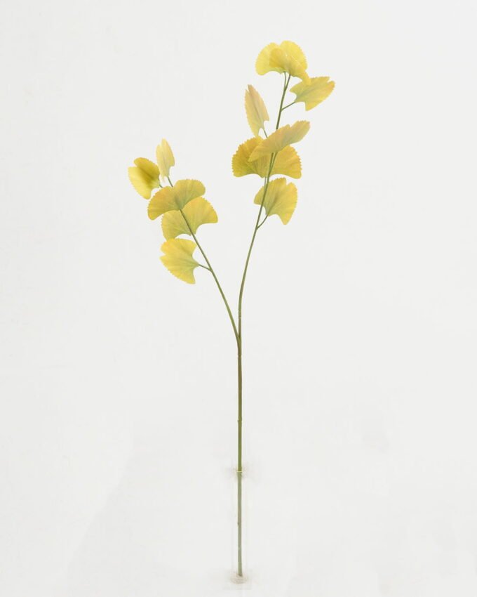 Artificial Plant 12*12*62cm Real touch ginkgo *2 single stem GS-15422052 Leaves&Sprays&Foliages YeahFlower is one of Chinese leading OEM manufacturers and exporters , supplying the silk flowers, wholesale artificial trees