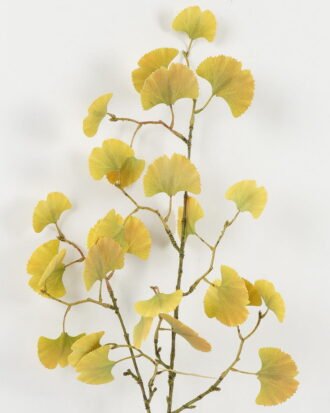 Artificial Plant 23*23*94cm Real touch ginkgo single stem GS-15422054-Y2 Leaves&Sprays&Foliages YeahFlower is one of Chinese leading OEM manufacturers and exporters , supplying the silk flowers, wholesale artificial trees