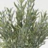 Artificial Plant 17*17*33cm Rosemary *7 bush GS-05522065 Flowers Bush YeahFlower is one of Chinese leading OEM manufacturers and exporters , supplying the silk flowers, wholesale artificial trees