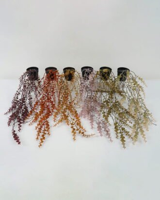 Artificial Plant 20*20*59cm leaves vine in PP pot GS-05522080 Potted Flowers&Plants YeahFlower is one of Chinese leading OEM manufacturers and exporters , supplying the silk flowers, wholesale artificial trees Artificial Plant 20*20*59cm leaves vine in PP pot GS-05522080 Potted Flowers&Plants YeahFlower is one of Chinese leading OEM manufacturers and exporters , supplying the silk flowers, wholesale artificial trees