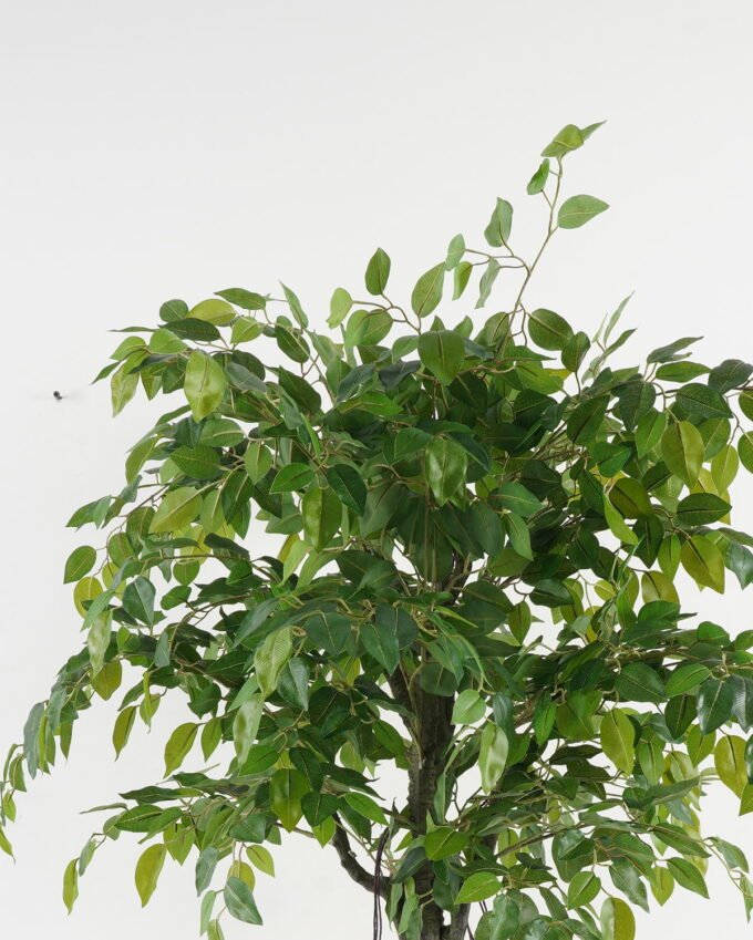 Artificial Tree Banyan 6 in PP pot GS-30422034_4 Artificial Tree 90*70*150cm Banyan *6 in PP pot GS-30422034 Tree&Plant YeahFlower is one of Chinese leading OEM manufacturers and exporters , supplying the silk flowers, wholesale artificial trees