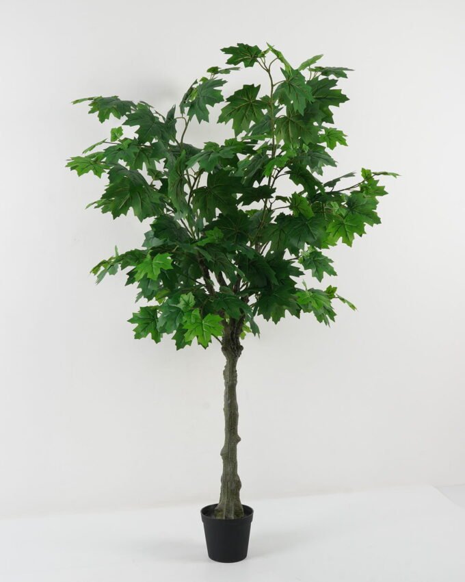 Artificial Tree 80*80*150cm  Buttonwood tree GS-30422036-UV Tree&Plant YeahFlower is one of Chinese leading OEM manufacturers and exporters , supplying the silk flowers, wholesale artificial trees