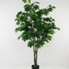 Artificial Tree Buttonwood tree GS-30422037-UV_5 Artificial Tree 85*85*178cm Buttonwood tree GS-30422037-UV Tree&Plant YeahFlower is one of Chinese leading OEM manufacturers and exporters , supplying the silk flowers, wholesale artificial trees