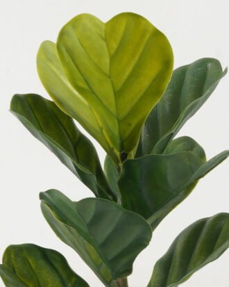 Artificial Tree 28*28*50cm Ficus lyrata tree in pp pot/10LVS GS-59522066 Tree&Plant YeahFlower is one of Chinese leading OEM manufacturers and exporters , supplying the silk flowers, wholesale artificial trees