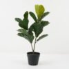 Artificial Tree Ficus lyrata tree in pp pot 20LVS GS-59522065_2 Artificial Tree 36*26*71cm Ficus lyrata tree in pp pot/20LVS GS-59522065 Tree&Plant YeahFlower is one of Chinese leading OEM manufacturers and exporters , supplying the silk flowers, wholesale artificial trees