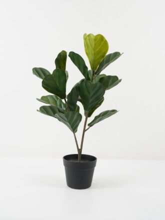 Artificial Tree 28*28*50cm Ficus lyrata tree in pp pot/10LVS GS-59522066 Tree&Plant 3,000+ sqm showroom with thousands of artificial flowers, plants & trees ready for global sourcing.