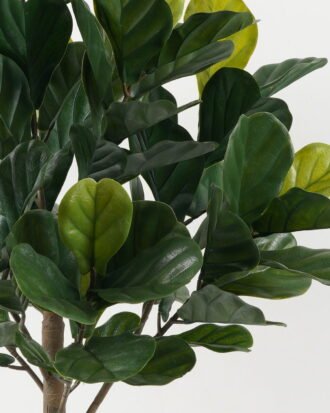 Artificial Tree 78*66*125cm Ficus lyrata tree in pp pot/80LVS GS-59522063 Tree&Plant YeahFlower is one of Chinese leading OEM manufacturers and exporters , supplying the silk flowers, wholesale artificial trees