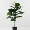 Artificial Tree 50*50*90cm Ficus tree *2 tree GS-30422052-UV Tree&Plant YeahFlower is one of Chinese leading OEM manufacturers and exporters , supplying the silk flowers, wholesale artificial trees