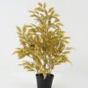 Artificial Tree Ficus tree 7 tree GS-30422048_4 Artificial Tree 38*38*50cm Ficus tree *7 tree GS-30422048 Tree&Plant YeahFlower is one of Chinese leading OEM manufacturers and exporters , supplying the silk flowers, wholesale artificial trees