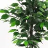 Artificial Tree 60*60*90cm Ficus tree GS-30422042-UV Tree&Plant YeahFlower is one of Chinese leading OEM manufacturers and exporters , supplying the silk flowers, wholesale artificial trees