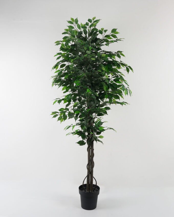 Artificial Tree 80*80*180cm Ficus tree GS-30422045-UV Tree&Plant YeahFlower is one of Chinese leading OEM manufacturers and exporters , supplying the silk flowers, wholesale artificial trees