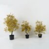 Artificial Tree Ficus tree GS-30422049_5 Artificial Tree 45*45*90cm Ficus tree GS-30422049 Tree&Plant YeahFlower is one of Chinese leading OEM manufacturers and exporters , supplying the silk flowers, wholesale artificial trees