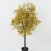 Artificial Tree 55*55*120cm Ficus tree GS-30422050 Tree&Plant YeahFlower is one of Chinese leading OEM manufacturers and exporters , supplying the silk flowers, wholesale artificial trees