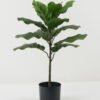 Artificial Tree 43*43*65cm Ficus tree GS-30422051-UV Tree&Plant YeahFlower is one of Chinese leading OEM manufacturers and exporters , supplying the silk flowers, wholesale artificial trees