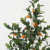 Artificial Tree Orange trees 5 in PP pot GS-30422020_7 Artificial Tree 48*44*119cm Orange trees *5 in PP pot GS-30422020 Tree&Plant YeahFlower is one of Chinese leading OEM manufacturers and exporters , supplying the silk flowers, wholesale artificial trees