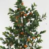 Artificial Tree Orange trees 5 in PP pot GS-30422022_4 Artificial Tree 72*55*180cm Orange trees *5 in PP pot GS-30422022 Tree&Plant YeahFlower is one of Chinese leading OEM manufacturers and exporters , supplying the silk flowers, wholesale artificial trees