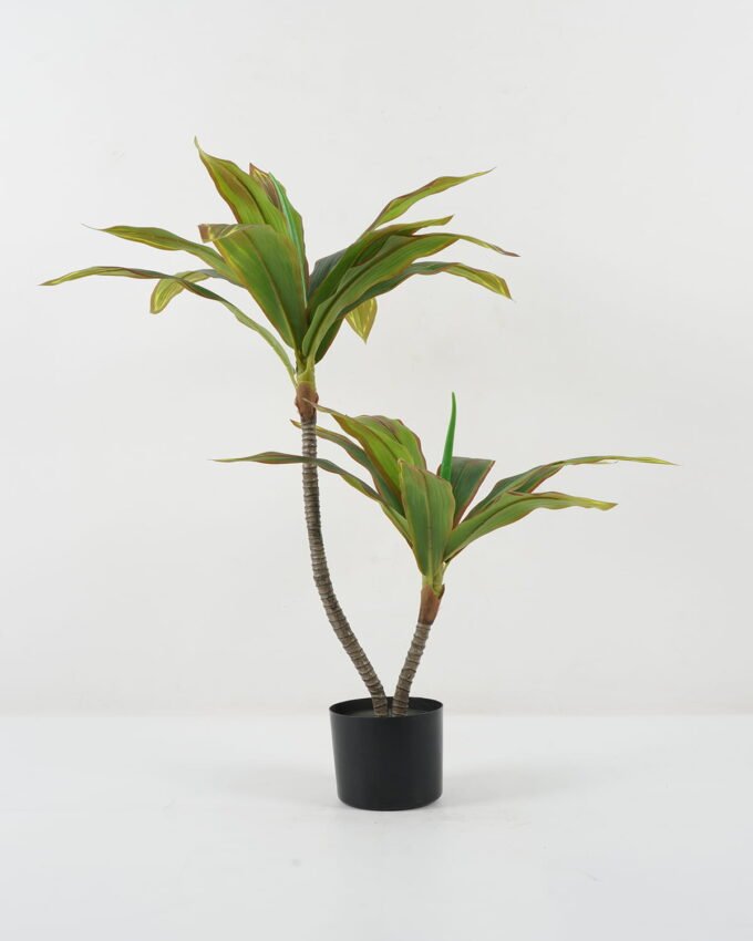 Artificial Tree 60*52*87cm agave tree *2 in PP pot GS-59522057 Tree&Plant YeahFlower is one of Chinese leading OEM manufacturers and exporters , supplying the silk flowers, wholesale artificial trees