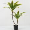 Artificial Tree 60*52*87cm agave tree *2 in PP pot GS-59522057 Tree&Plant YeahFlower is one of Chinese leading OEM manufacturers and exporters , supplying the silk flowers, wholesale artificial trees
