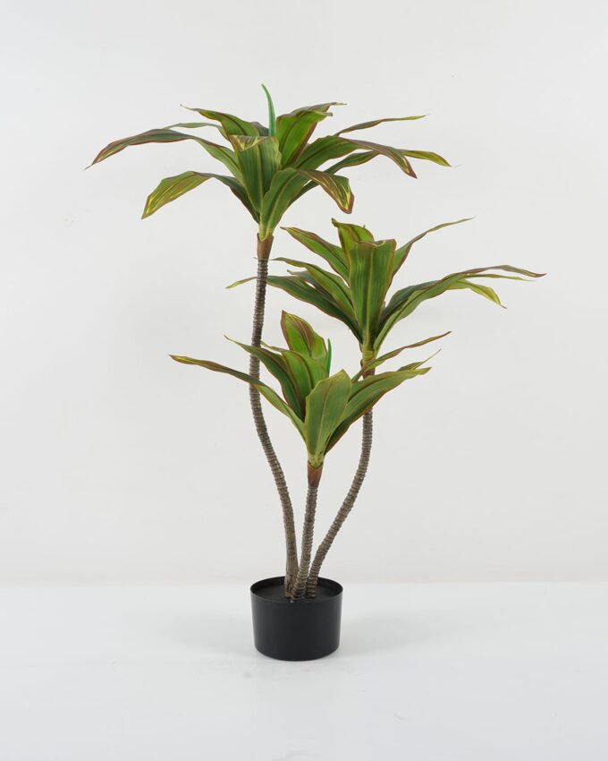 Artificial Tree agave tree 3 in PP pot GS-59522056_5 Artificial Tree 60*55*116cm agave tree *3 in PP pot GS-59522056 Tree&Plant YeahFlower is one of Chinese leading OEM manufacturers and exporters , supplying the silk flowers, wholesale artificial trees