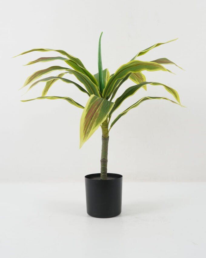 Artificial Tree 56*56*60cm agave tree in PP pot GS-59522058 Tree&Plant YeahFlower is one of Chinese leading OEM manufacturers and exporters , supplying the silk flowers, wholesale artificial trees