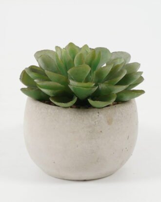 Artificial succulent 8*8*8cm Artificial succulent in Cement pot GS-51722096 Succulent YeahFlower is one of Chinese leading OEM manufacturers and exporters , supplying the silk flowers, wholesale artificial trees