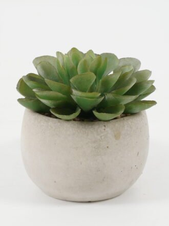 Artificial succulent 9*9*8cm Artificial succulent in Cement pot GS-51722097 Succulent 3,000+ sqm showroom with thousands of artificial flowers, plants & trees ready for global sourcing.