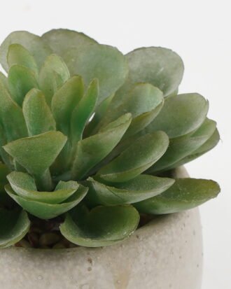 Artificial succulent 8*8*8cm Artificial succulent in Cement pot GS-51722096 Succulent YeahFlower is one of Chinese leading OEM manufacturers and exporters , supplying the silk flowers, wholesale artificial trees