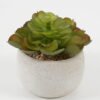 Artificial succulent in Cement pot GS-51722097 Artificial succulent 9*9*8cm Artificial succulent in Cement pot GS-51722097 Succulent YeahFlower is one of Chinese leading OEM manufacturers and exporters , supplying the silk flowers, wholesale artificial trees