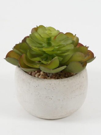 Artificial succulent 7*7*8cm Artificial succulent in Cement pot GS-51722098 Succulent 3,000+ sqm showroom with thousands of artificial flowers, plants & trees ready for global sourcing.