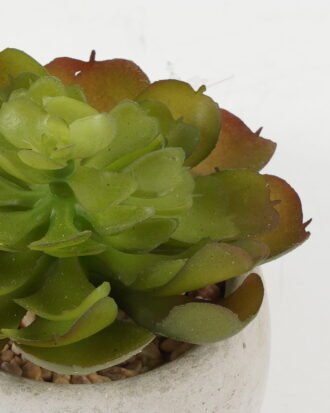 Artificial succulent 9*9*8cm Artificial succulent in Cement pot GS-51722097 Succulent YeahFlower is one of Chinese leading OEM manufacturers and exporters , supplying the silk flowers, wholesale artificial trees
