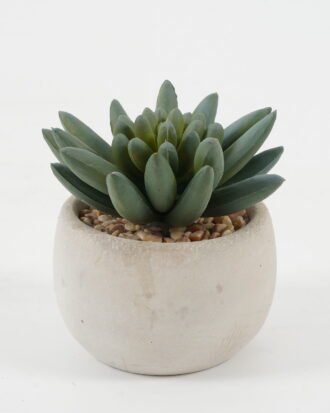 Artificial succulent 7*7*8cm Artificial succulent in Cement pot GS-51722098 Succulent YeahFlower is one of Chinese leading OEM manufacturers and exporters , supplying the silk flowers, wholesale artificial trees