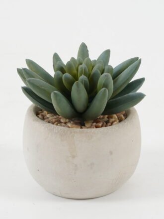 Artificial succulent 8*8*7cm Artificial succulent in Cement pot GS-51722099 Succulent 3,000+ sqm showroom with thousands of artificial flowers, plants & trees ready for global sourcing.