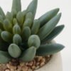 Artificial succulent in Cement pot GS-51722098_1 Artificial succulent 7*7*8cm Artificial succulent in Cement pot GS-51722098 Succulent YeahFlower is one of Chinese leading OEM manufacturers and exporters , supplying the silk flowers, wholesale artificial trees