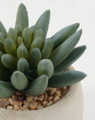 Artificial succulent 7*7*8cm Artificial succulent in Cement pot GS-51722098 Succulent YeahFlower is one of Chinese leading OEM manufacturers and exporters , supplying the silk flowers, wholesale artificial trees