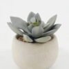 Artificial succulent in Cement pot GS-51722099 Artificial succulent 8*8*7cm Artificial succulent in Cement pot GS-51722099 Succulent YeahFlower is one of Chinese leading OEM manufacturers and exporters , supplying the silk flowers, wholesale artificial trees
