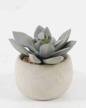 Artificial succulent 8*8*7cm Artificial succulent in Cement pot GS-51722099 Succulent YeahFlower is one of Chinese leading OEM manufacturers and exporters , supplying the silk flowers, wholesale artificial trees