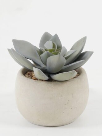 Artificial succulent 7*7*10cm Artificial succulent in ceramic pot GS-51722100 Succulent 3,000+ sqm showroom with thousands of artificial flowers, plants & trees ready for global sourcing.