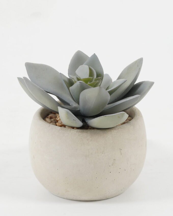 Artificial succulent in Cement pot GS-51722099 Artificial succulent 8*8*7cm Artificial succulent in Cement pot GS-51722099 Succulent YeahFlower is one of Chinese leading OEM manufacturers and exporters , supplying the silk flowers, wholesale artificial trees