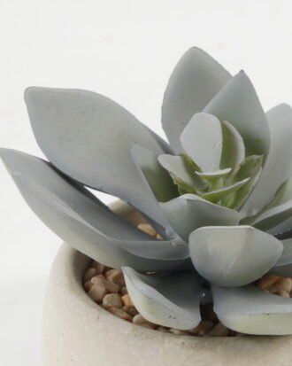 Artificial succulent 8*8*7cm Artificial succulent in Cement pot GS-51722099 Succulent YeahFlower is one of Chinese leading OEM manufacturers and exporters , supplying the silk flowers, wholesale artificial trees