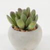 Artificial succulent in Cement pot GS-51722125 Artificial succulent 7*7*7cm Artificial succulent in Cement pot GS-51722125 Succulent YeahFlower is one of Chinese leading OEM manufacturers and exporters , supplying the silk flowers, wholesale artificial trees