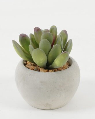 Artificial succulent 7*7*7cm Artificial succulent in Cement pot GS-51722125 Succulent YeahFlower is one of Chinese leading OEM manufacturers and exporters , supplying the silk flowers, wholesale artificial trees
