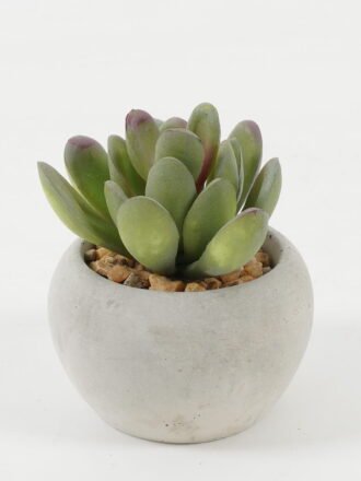 Artificial succulent 8*8*8cm Artificial succulent in Cement pot GS-51722126 Succulent 3,000+ sqm showroom with thousands of artificial flowers, plants & trees ready for global sourcing.
