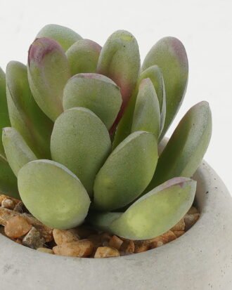 Artificial succulent 7*7*7cm Artificial succulent in Cement pot GS-51722125 Succulent YeahFlower is one of Chinese leading OEM manufacturers and exporters , supplying the silk flowers, wholesale artificial trees
