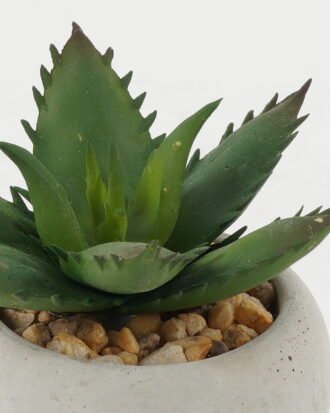 Artificial succulent 8*8*8cm Artificial succulent in Cement pot GS-51722126 Succulent YeahFlower is one of Chinese leading OEM manufacturers and exporters , supplying the silk flowers, wholesale artificial trees