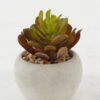 Artificial succulent 6*6*8cm Artificial succulent in Cement pot GS-51722127 Succulent YeahFlower is one of Chinese leading OEM manufacturers and exporters , supplying the silk flowers, wholesale artificial trees