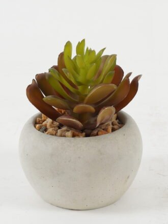 Artificial succulent 8*8*8cm Artificial succulent in Cement pot GS-51722128 Succulent 3,000+ sqm showroom with thousands of artificial flowers, plants & trees ready for global sourcing.